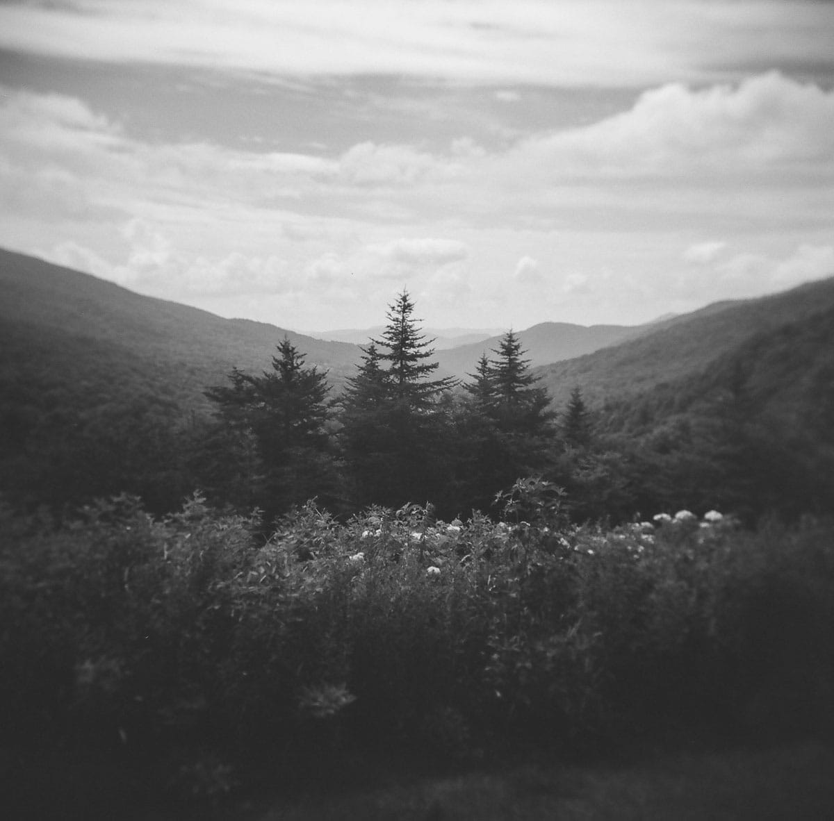 1200x1182 Shooting Film on a Budget: Black and White Films Under $10 by Taylor Blanchard Shoot It With Film