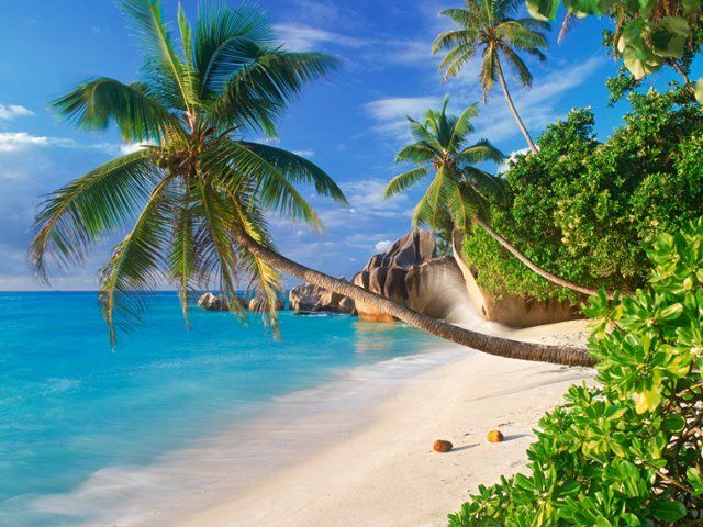 640x480 Wallpaper Changer for Windows & Mac