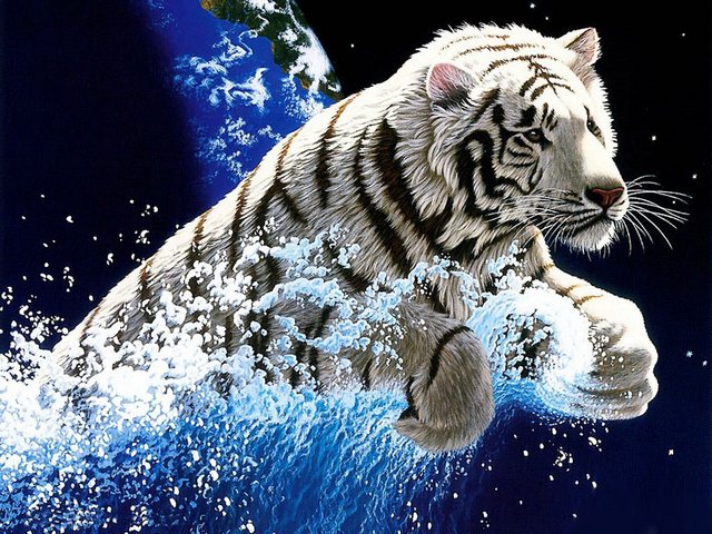 640x480 