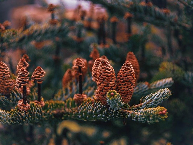 640x480 Desktop Wallpaper & 4K Wallpaper for PC