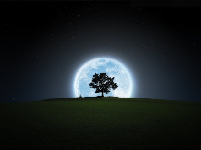 640x480 Silhouette Phone Wallpaper: Free 4K & HD Downloads