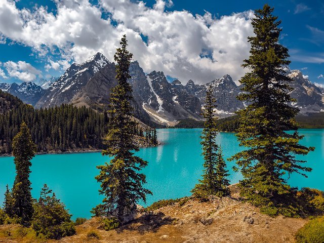 640x480 Desktop Wallpaper App for Windows & Mac