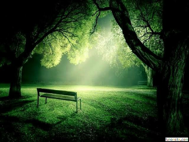 640x480 Full HD Beautiful Nature Wallpaper iPhone