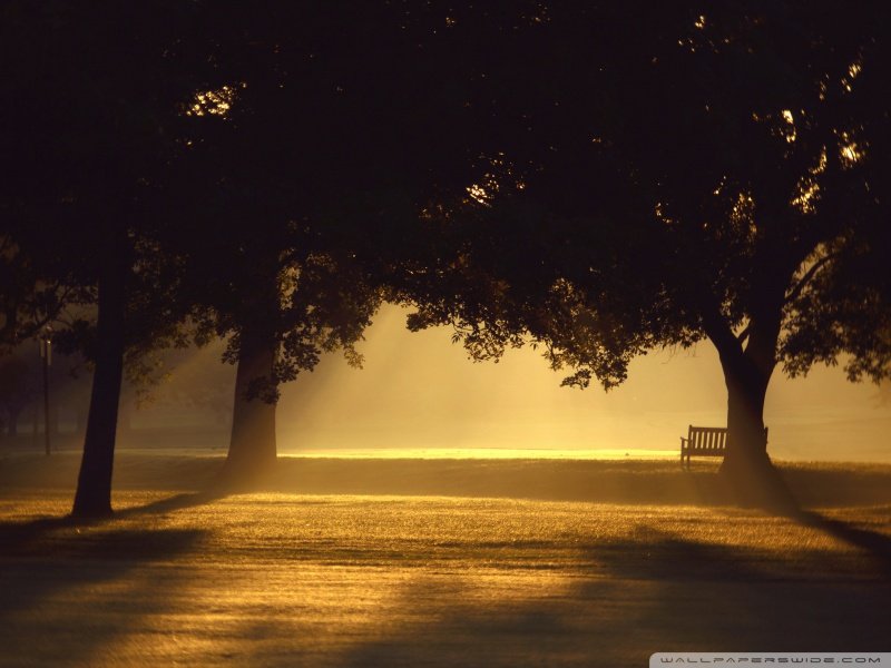800x600 Change with the seasons with these amazing, free wallpaper