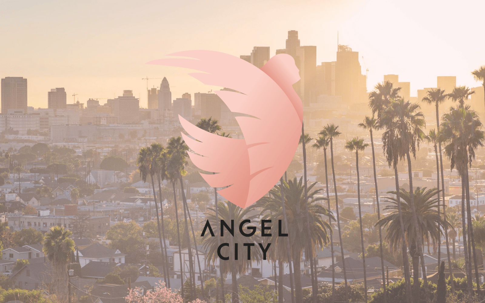 1600x1000 Angel City FC the new women's team in Los Angeles
