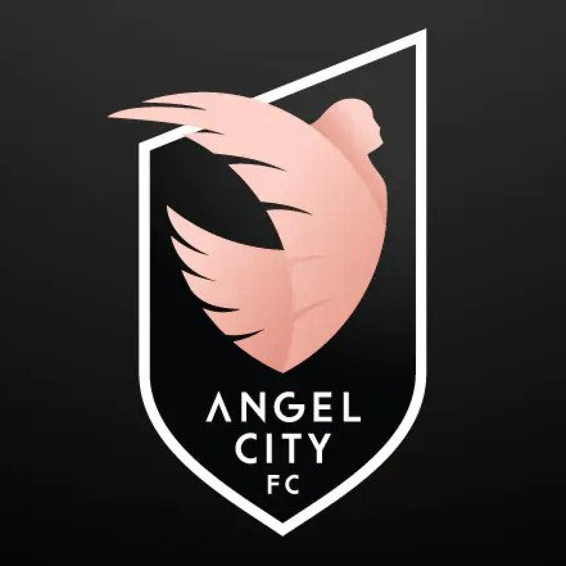 1800x1800 Angel City FC unveils new crest inspired by Los Angeles and its citizens