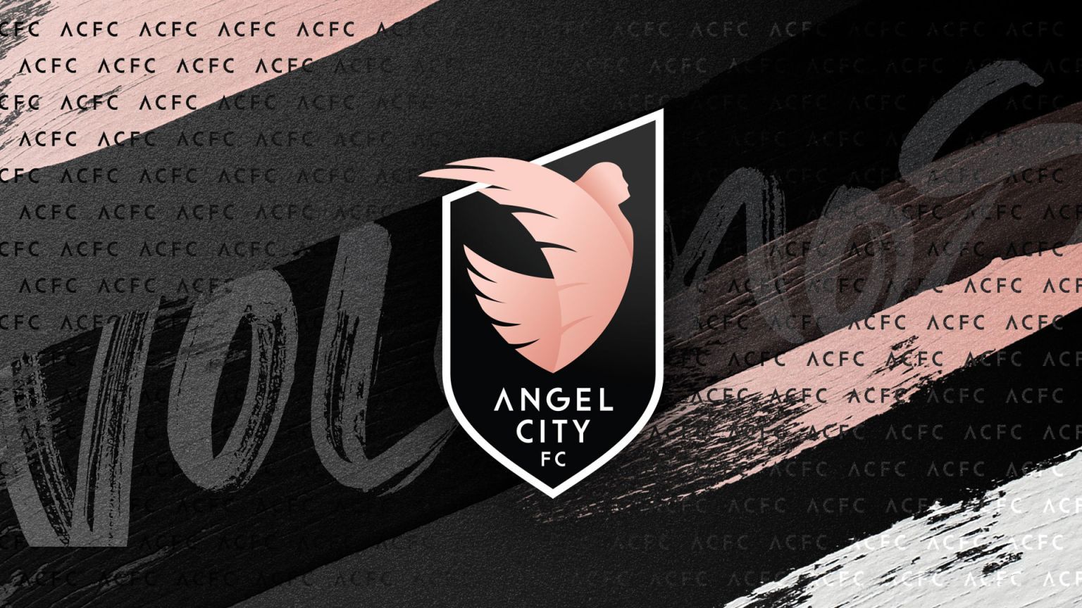 1536x864 Charlie Co. Angel City In Stadium