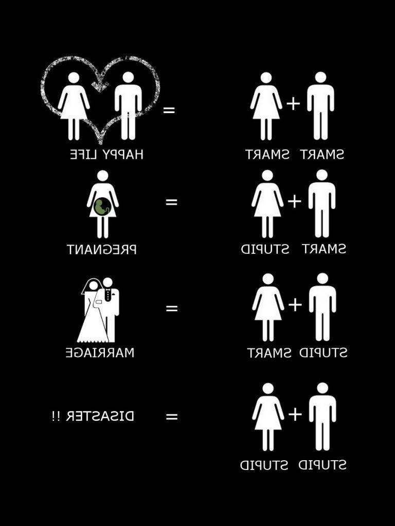 768x1024 Free download Download Funny Wallpaper .