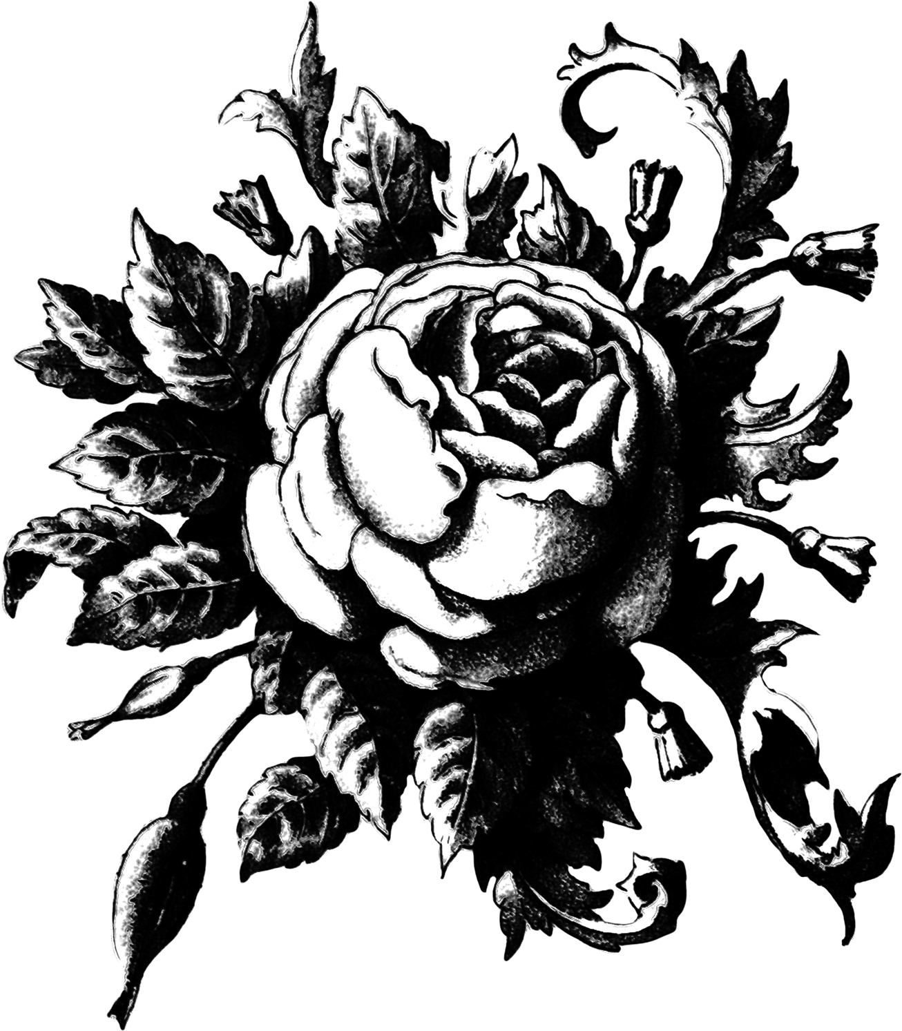 1306x1493 Black and White Vintage Background .com