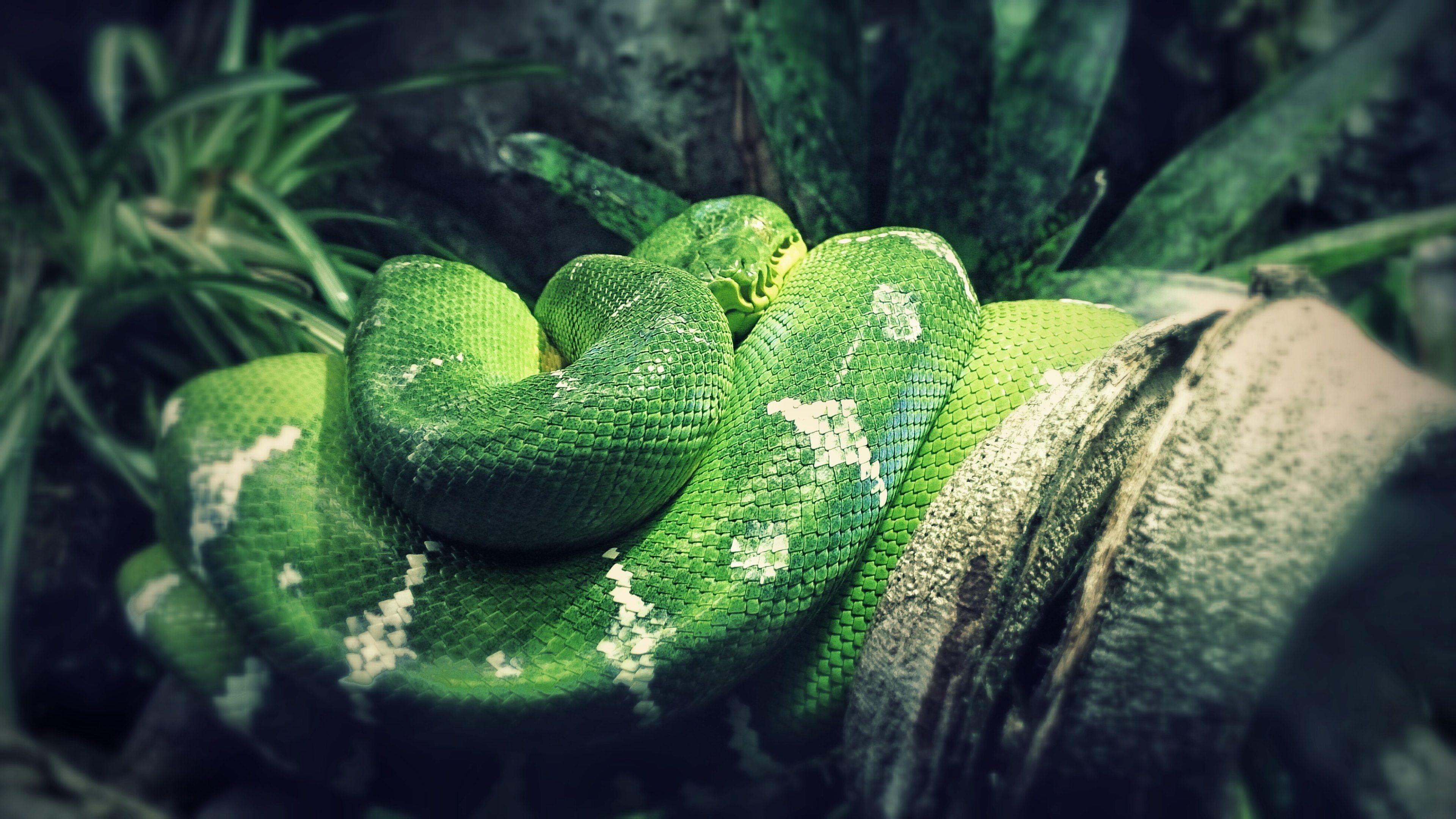 3840x2160 Wallpaper Ultra HD 16k