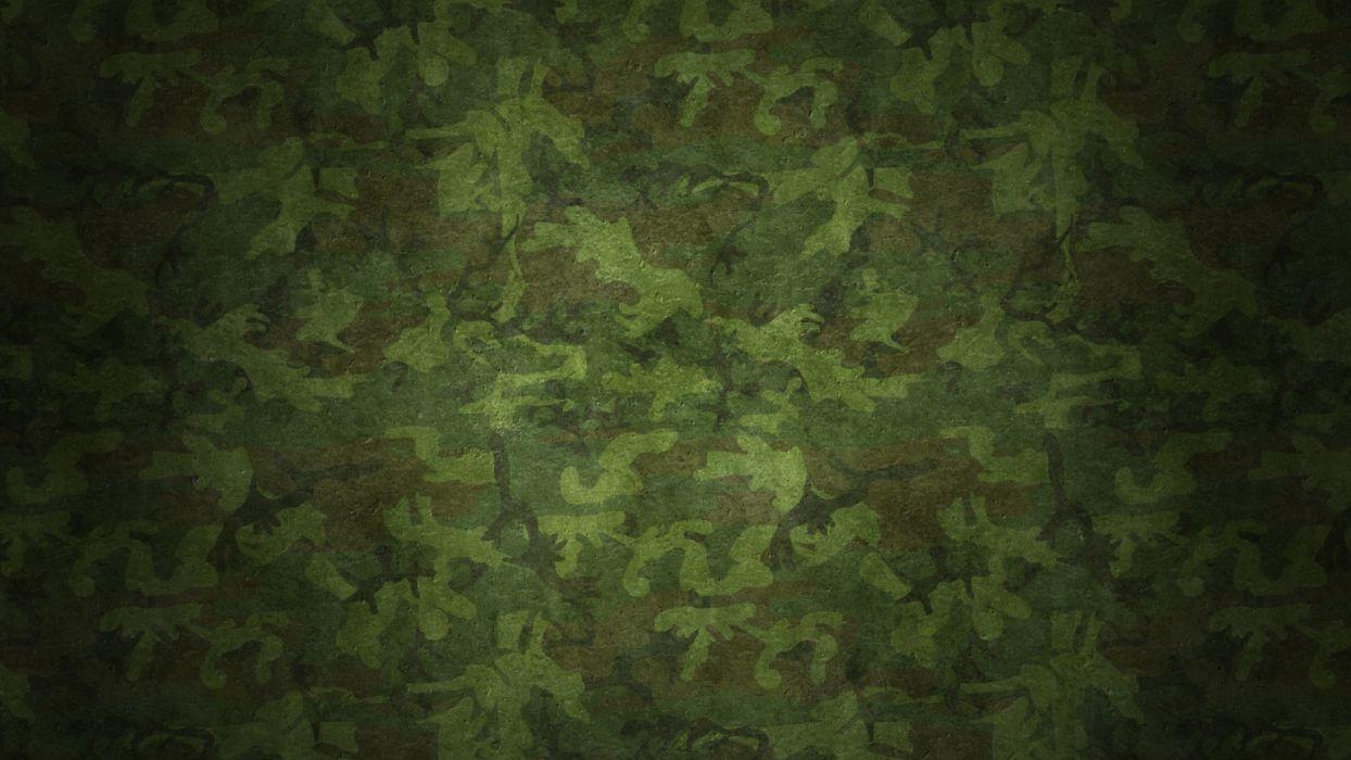1244x700 Military patterns camouflage wallpaper .