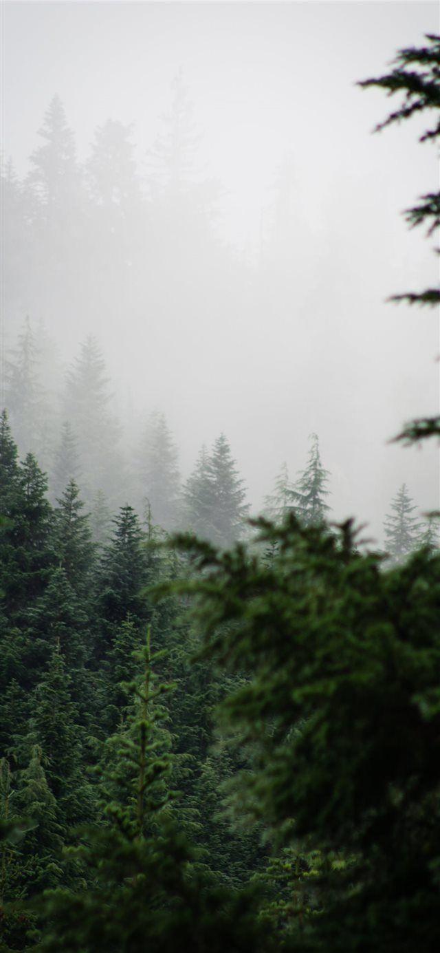 640x1385 Alpine Lakes Wilderness. Cool .com