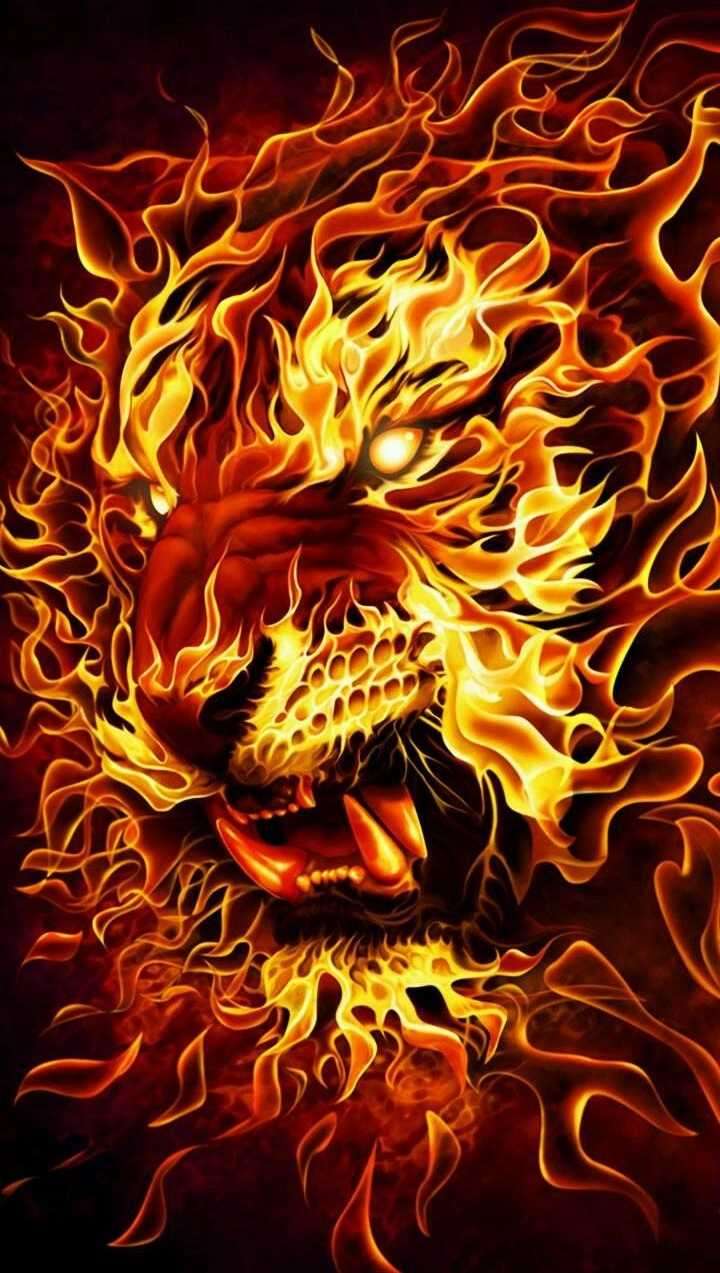 720x1273 Fire Lion Wallpaper HD