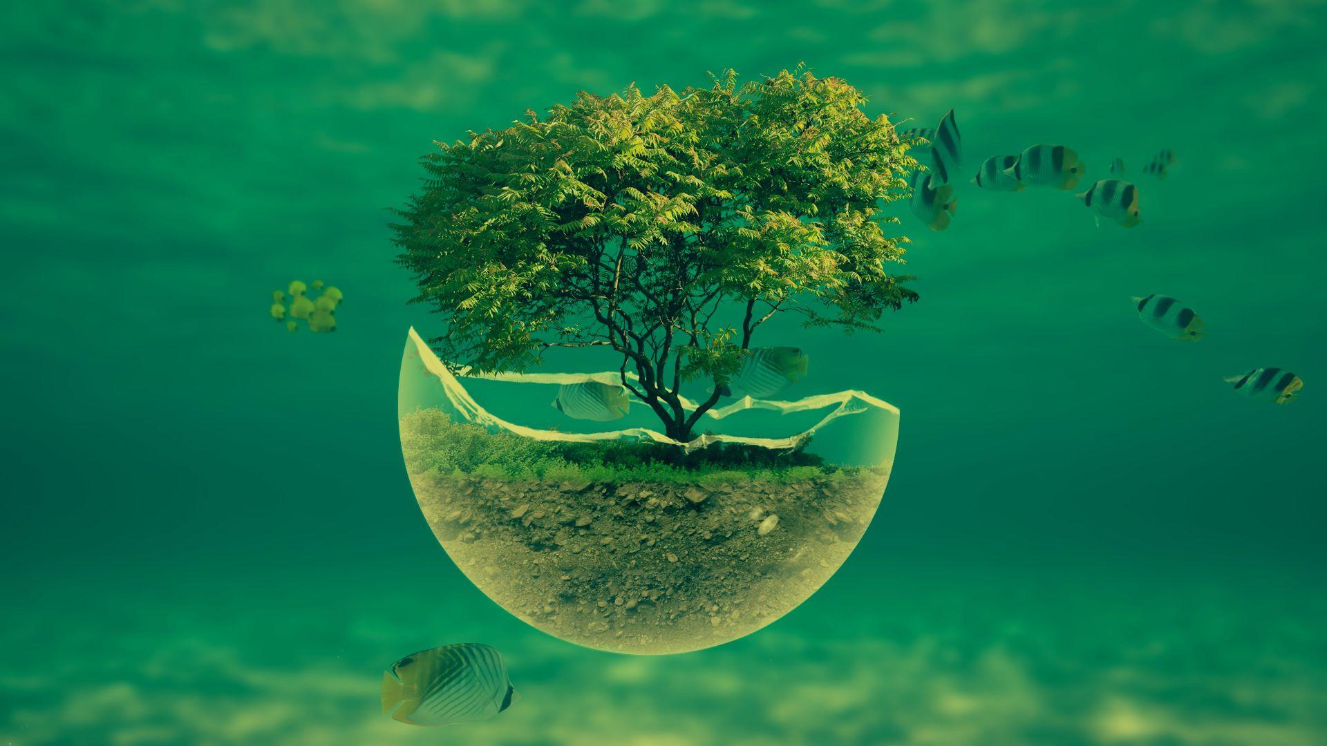 1920x1080 Glass Sphere, Water, Fish, Digital Art .