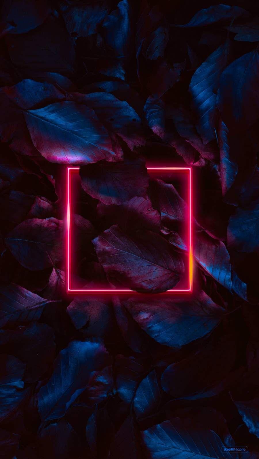 900x1595 Neon Foliage Nature iPhone Wallpaper .com