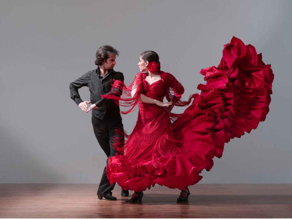 🔥 Download Flamenco Art HD Walls Find Wallpaper by @matthewfletcher | Flamenco  Wallpaper, Flamenco Wallpaper,