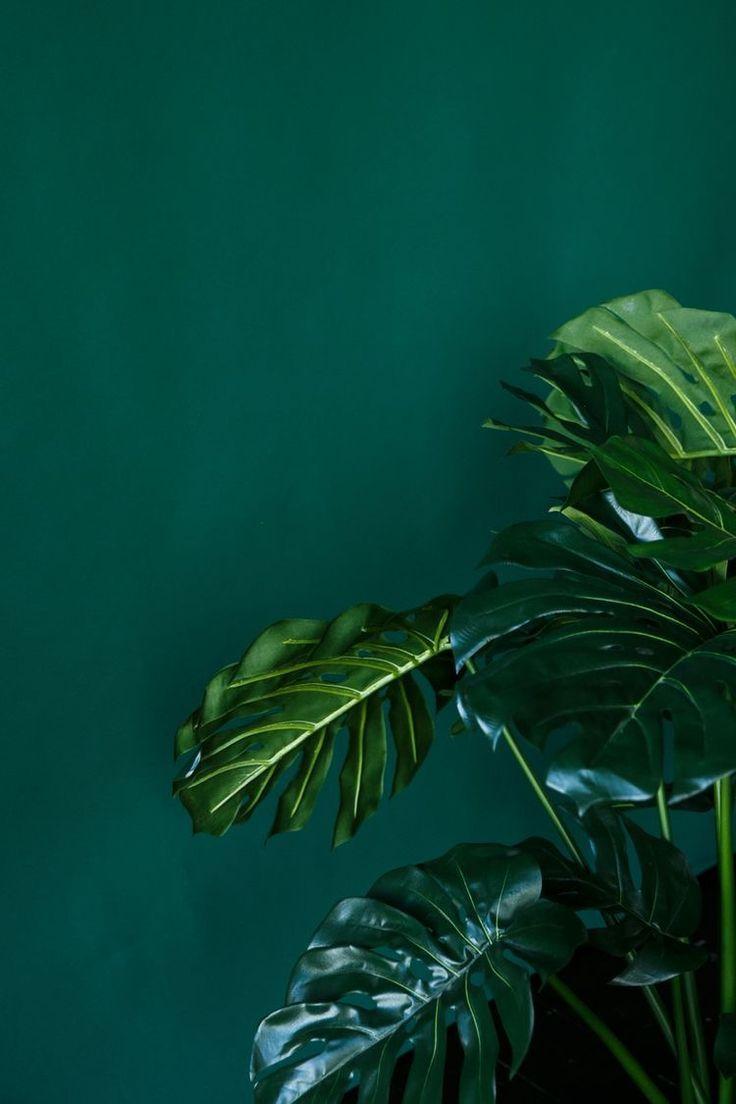 736x1104 S Dark Emerald Green Aesthetic Heart .