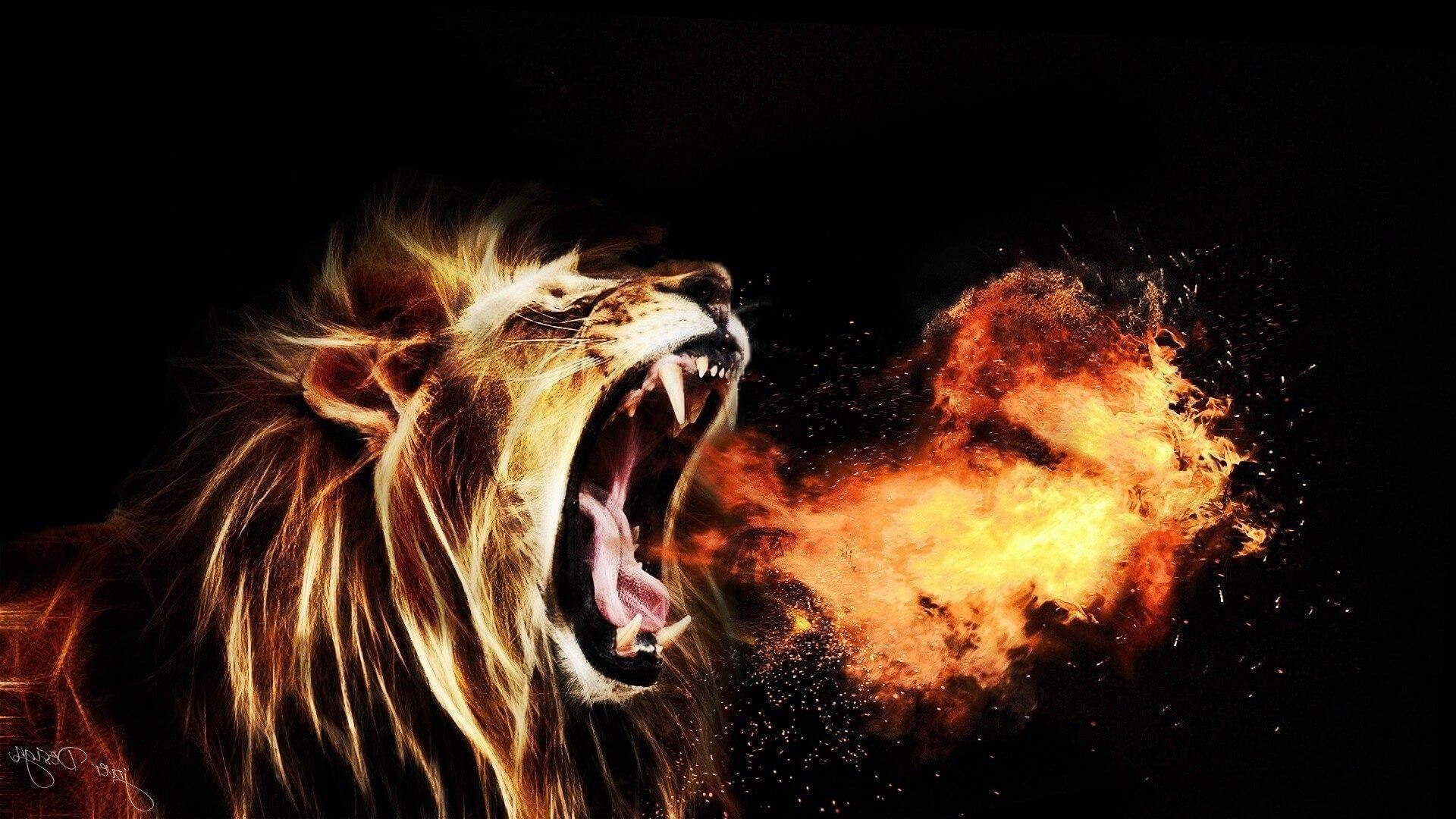 1920x1080 Angry Lion Wallpaper 1920×1080 .