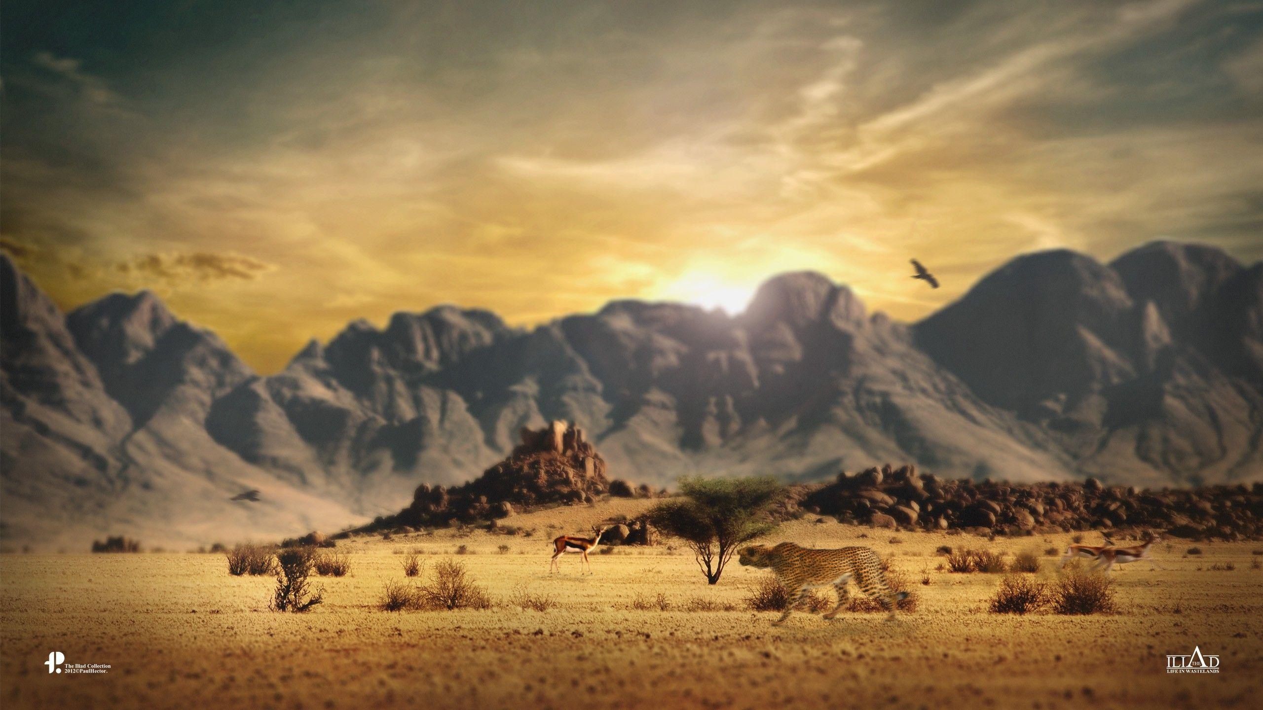 2560x1440 Wildlife Wallpaper