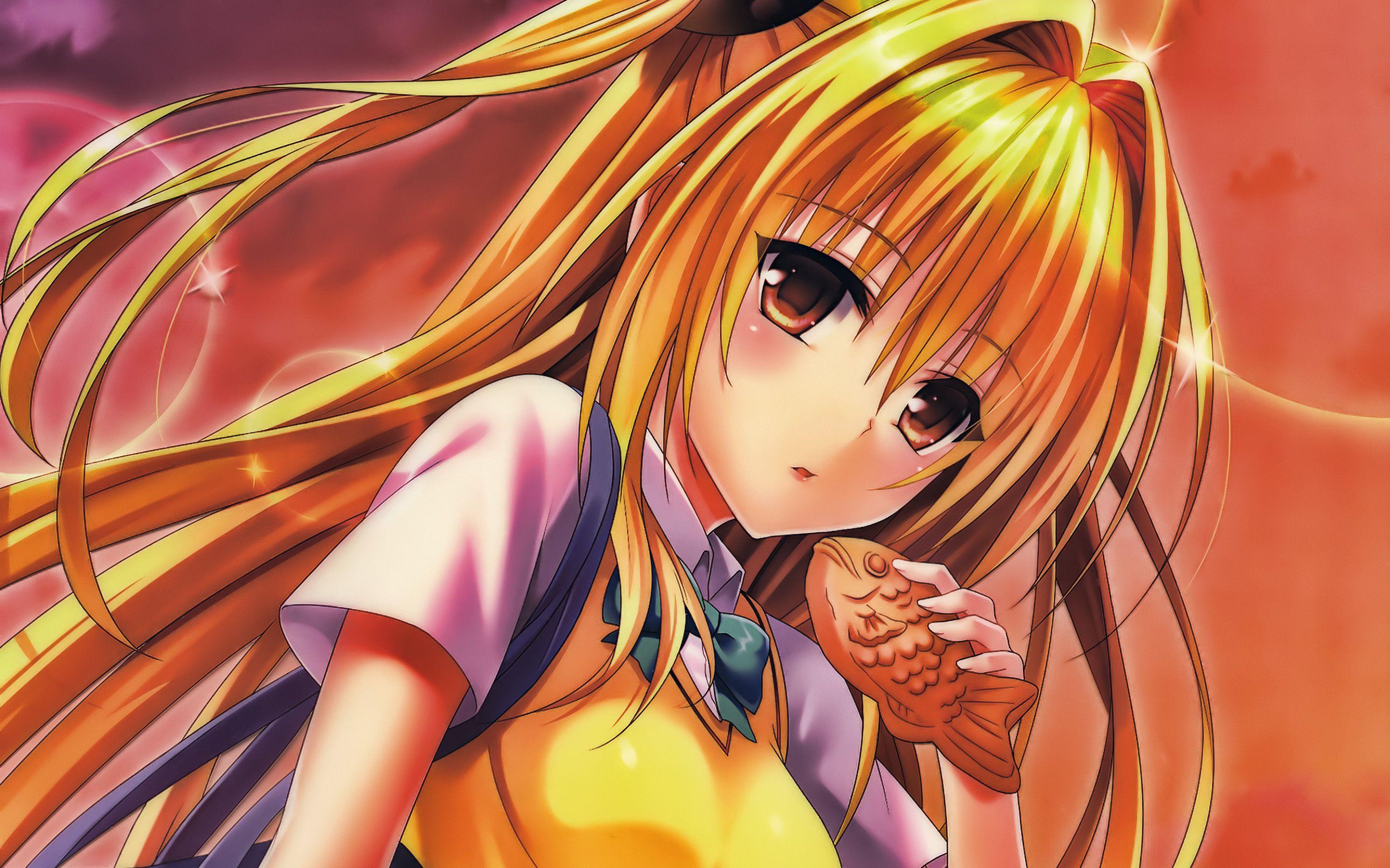 Konjiki No Yami Wallpapers Top Free Konjiki No Yami Backgrounds