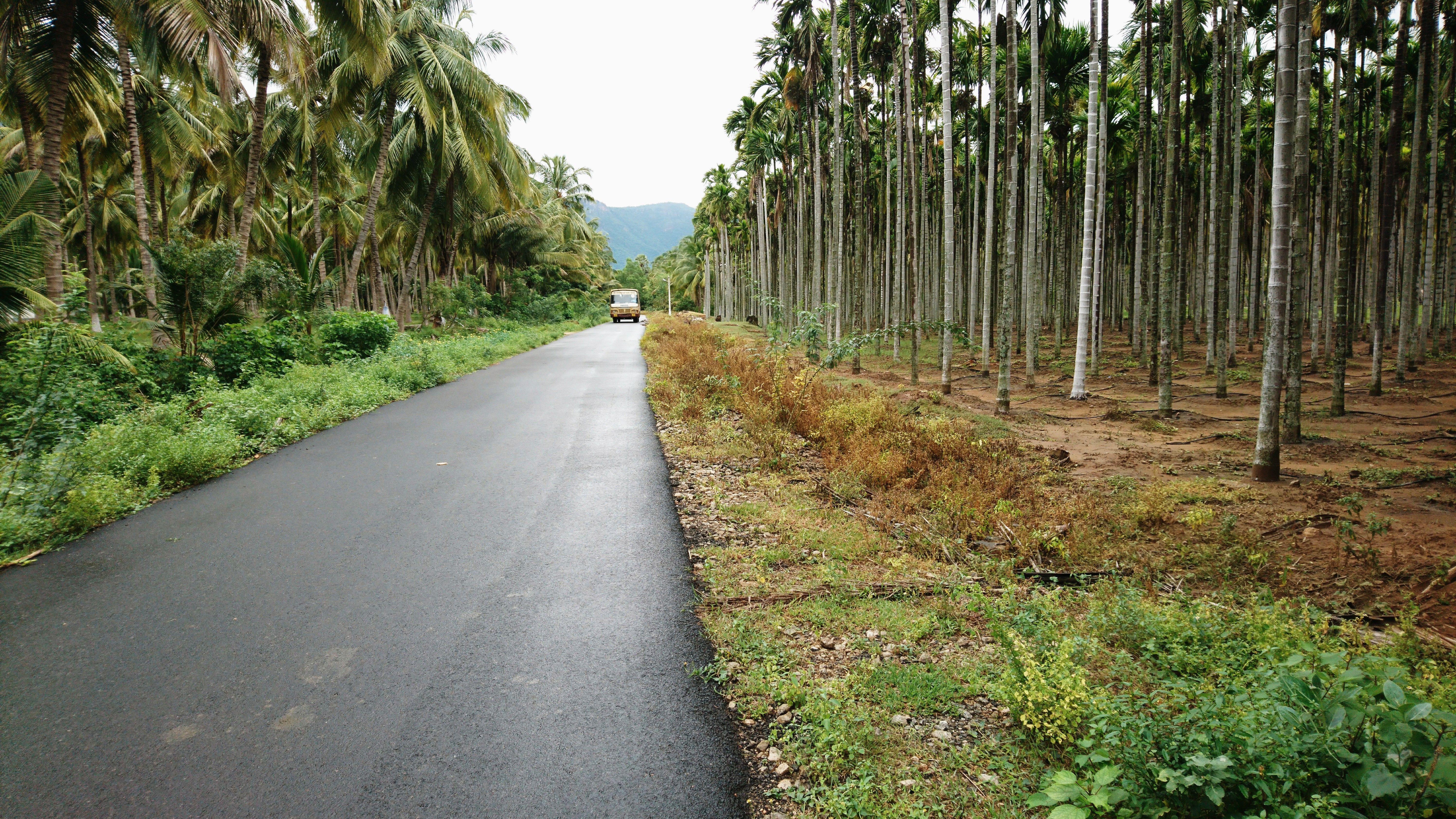 5984x3366 Free of coimbatore, green .