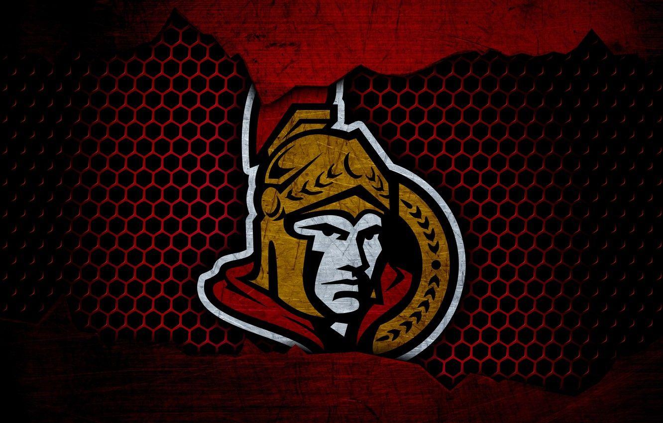 Ottawa Senators Wallpapers - Top Free Ottawa Senators Backgrounds ...