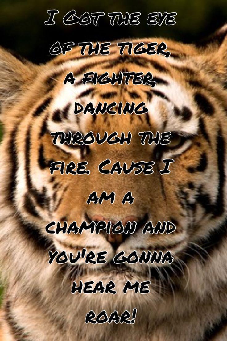 736x1104 best Katy perry roar!!! image. Lyrics, Katy