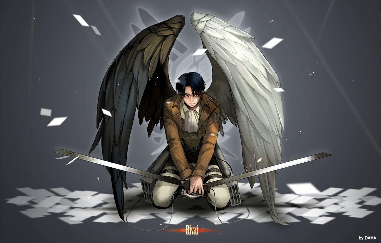 1280x816 Levi