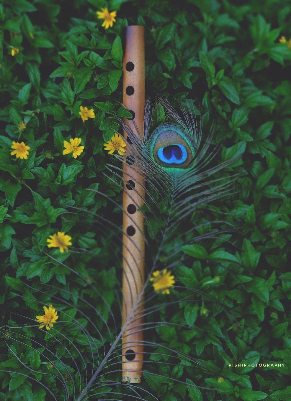 986x1361 Beautiful peacock feather and fruit. Krishna wallpaper, Krishna flute, Lord krishna HD wallpaper