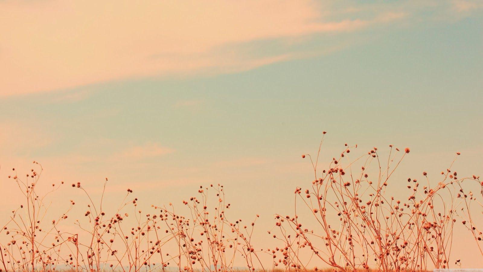 1600x900 Antique Scenic Wallpaper .