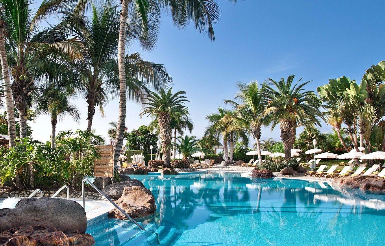 1332x850 Free download Wallpaper palm trees pool .