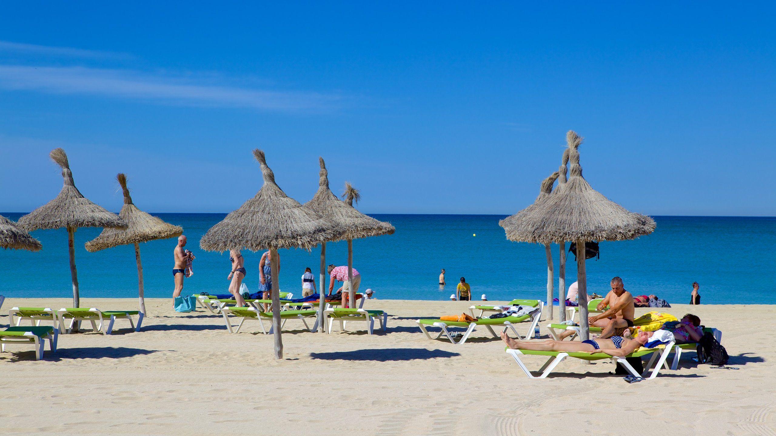 2560x1440 Top Hotels in Palma de