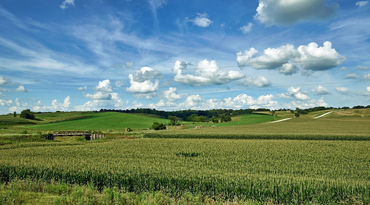 1280x711 Iowa, corn, cornfield, sky, clouds