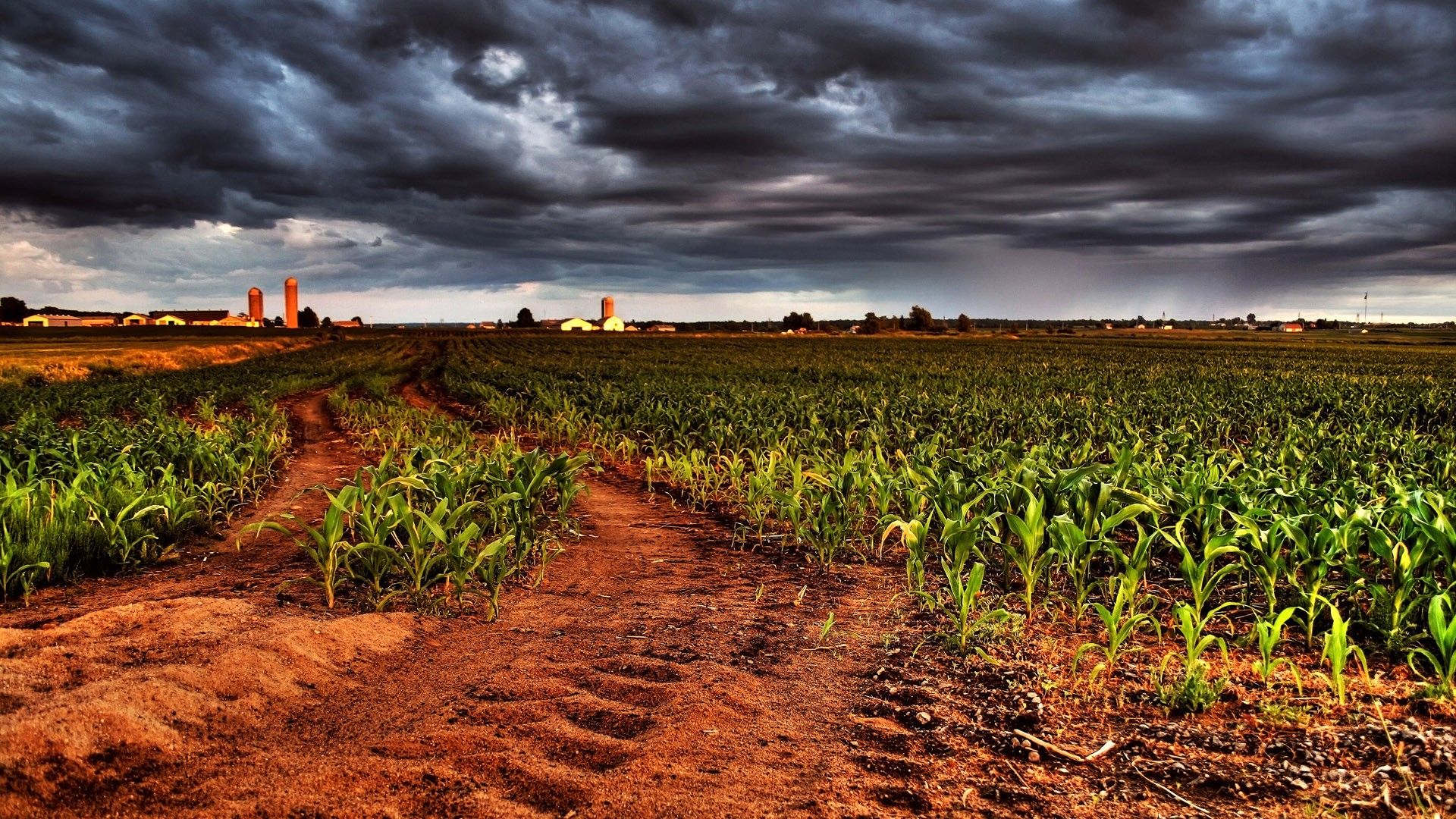 1920x1080 architecture, Buildings, Farm, Corn, Crops, Sky, Clouds, Sunset, Sunrise Wallpaper HD / Desktop and Mobile Background