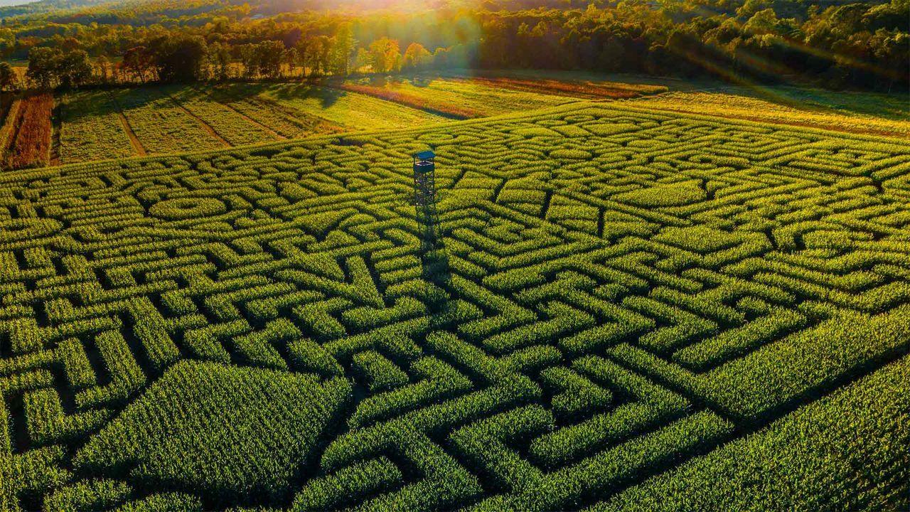 1280x720 Bing Wallpaper Archive