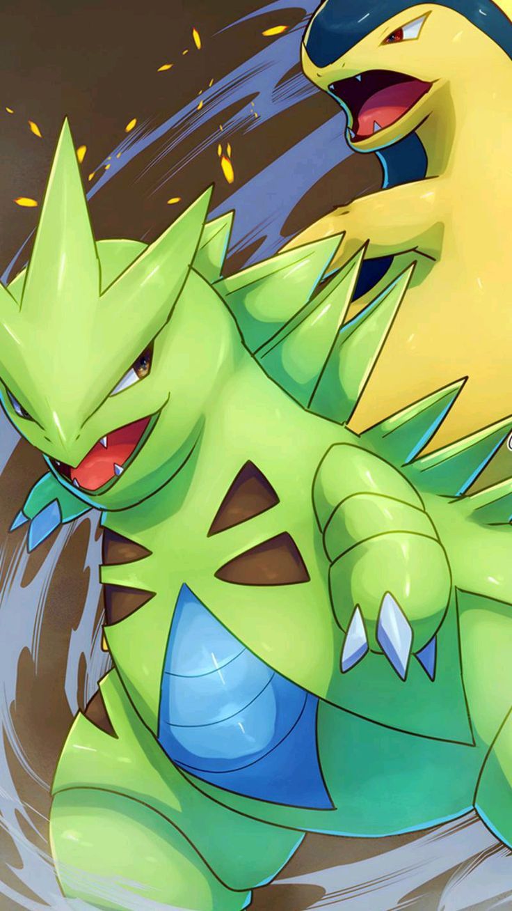 736x1308 Tyranitar & Typhlosion