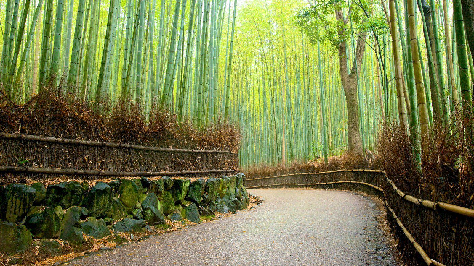 Grove bamboo forest escape прохождение