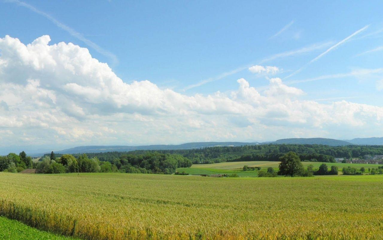 1280x804 Clouds Forest Sky & Fields wallpaper .