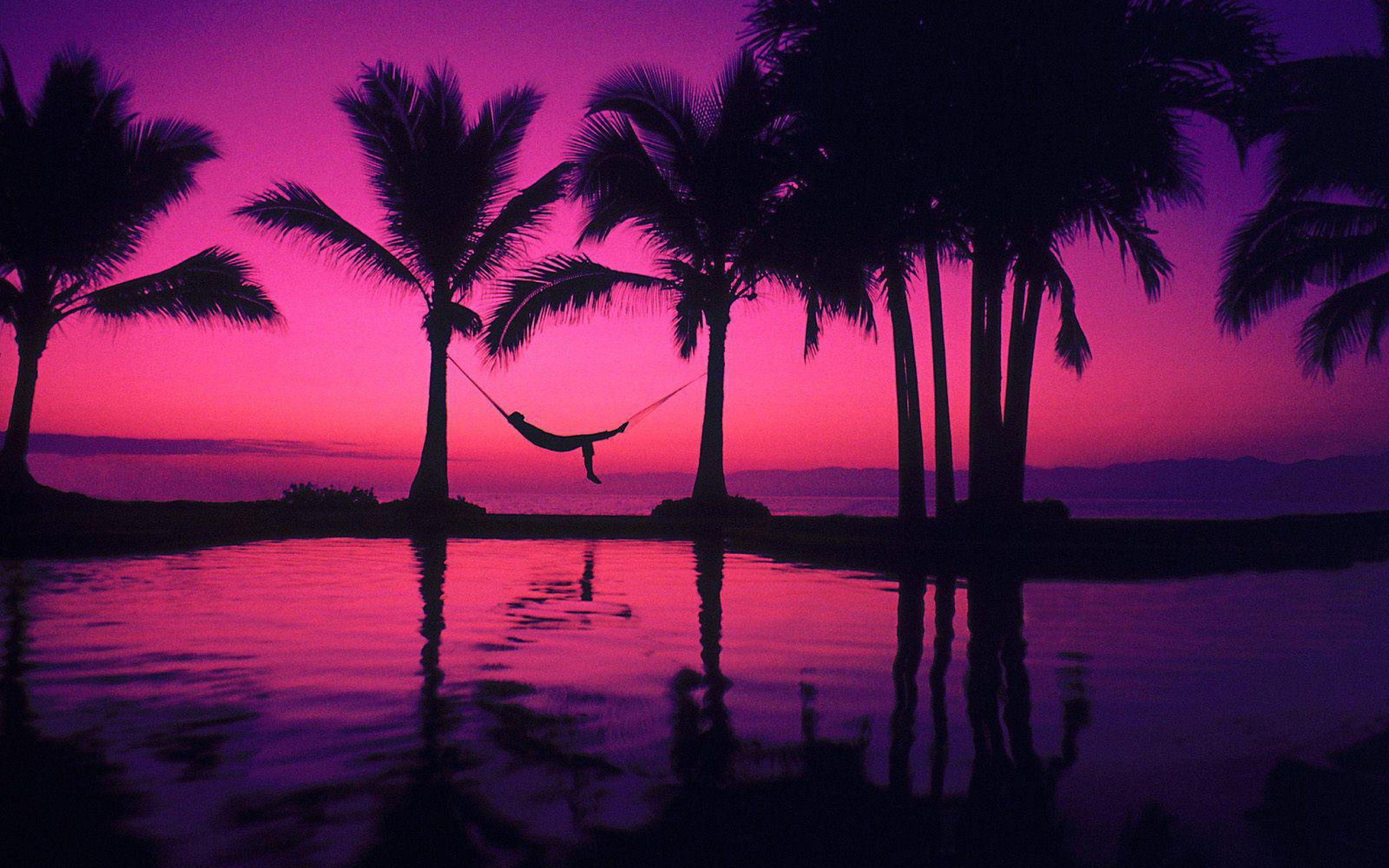 2560x1600 Beach Purple Sunset wallpaper .