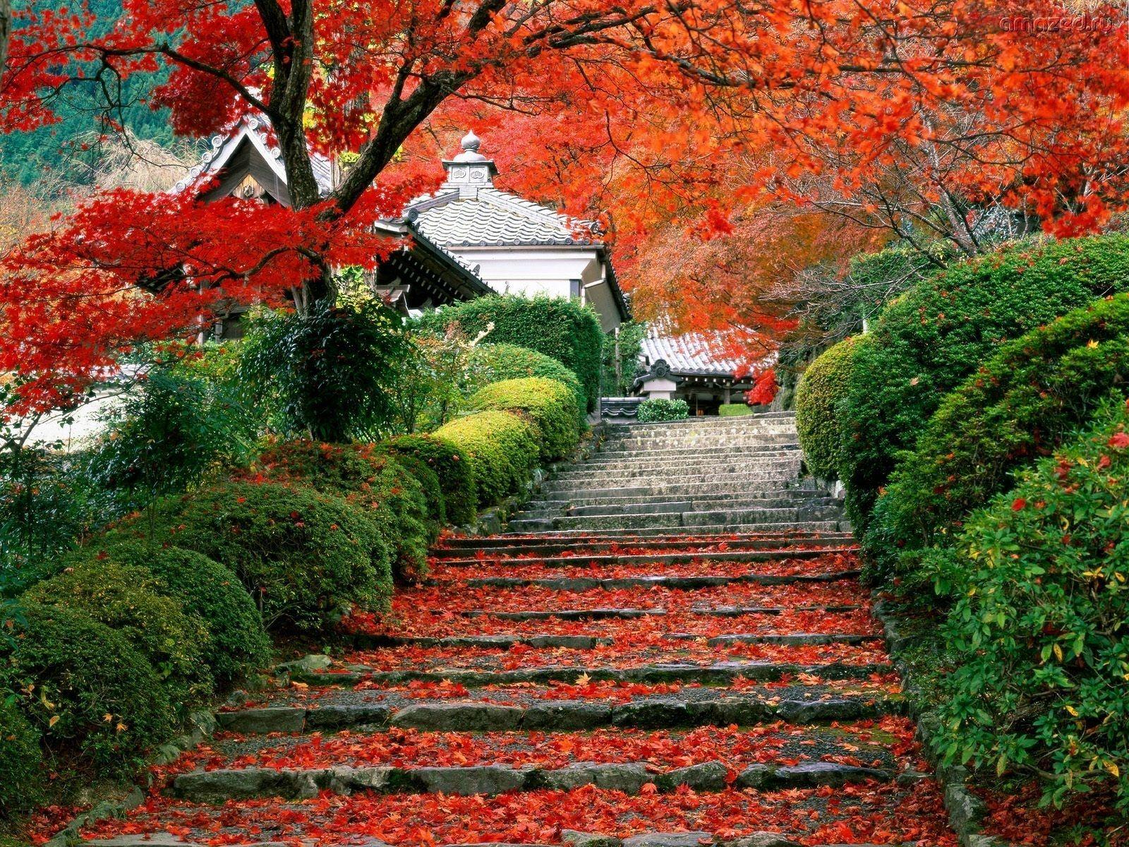 1600x1200 Japanese Wallpaper Unique 1080p HD .