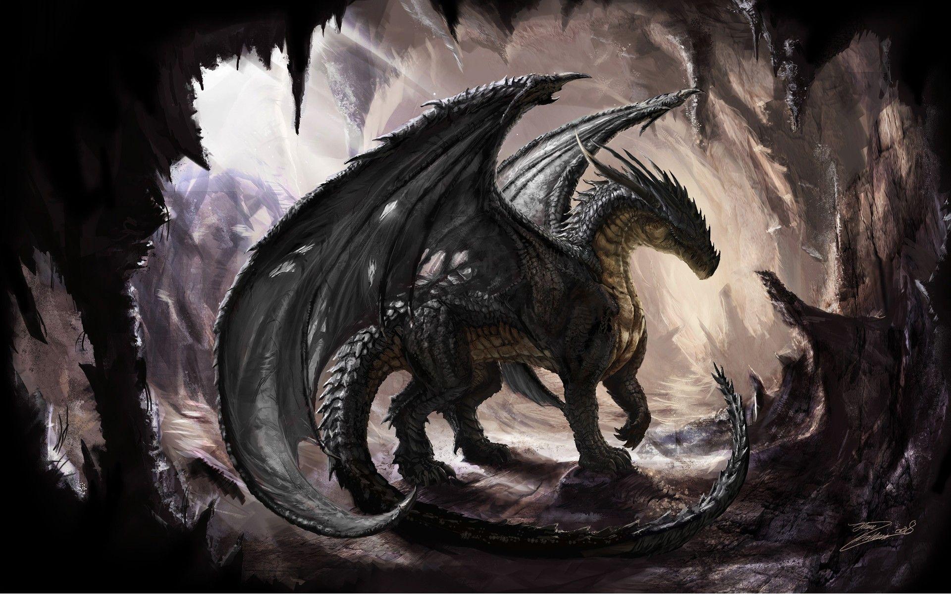 High Resolution Dragon Wallpapers - Top Free High Resolution Dragon