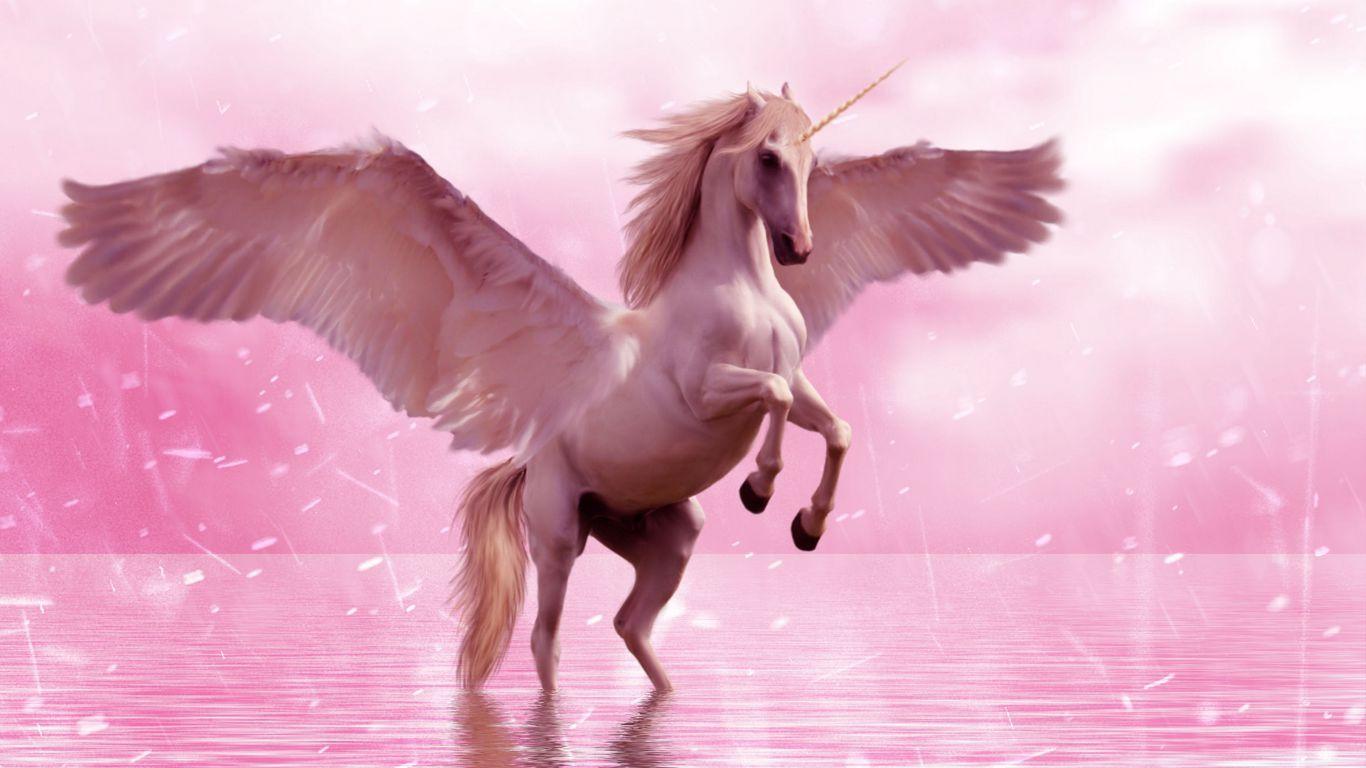 1366x768 Download wallpaper 1366x768 unicorn .