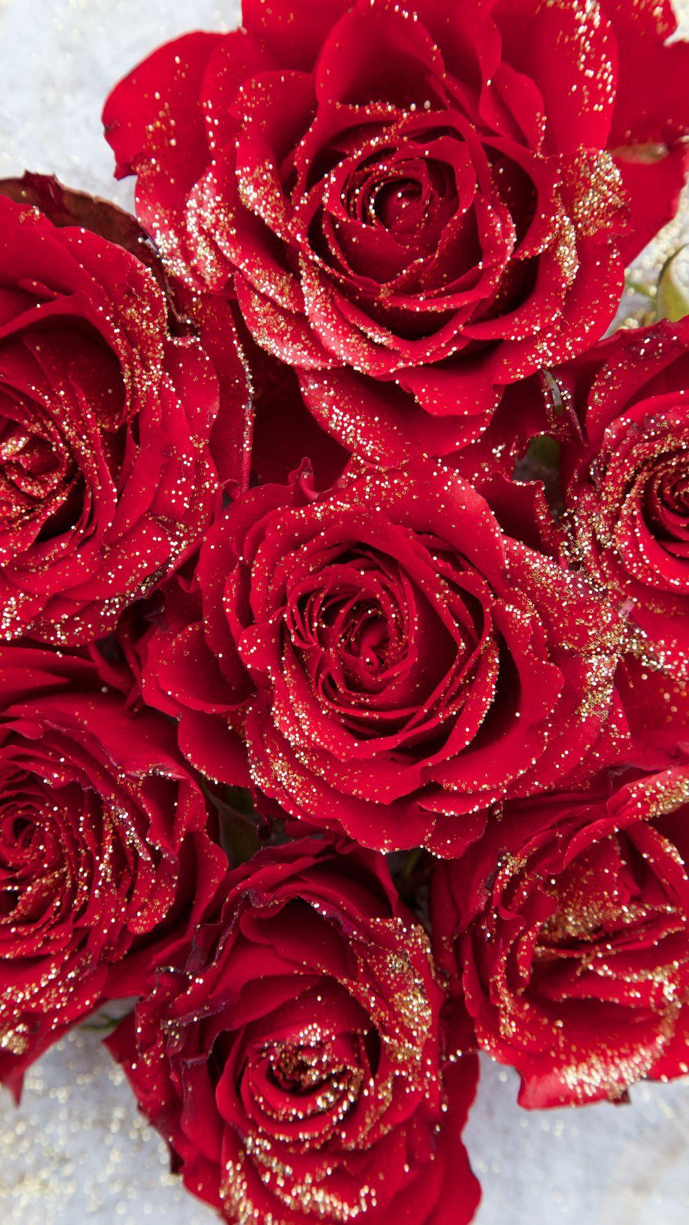 1000x1778 Winter Roses