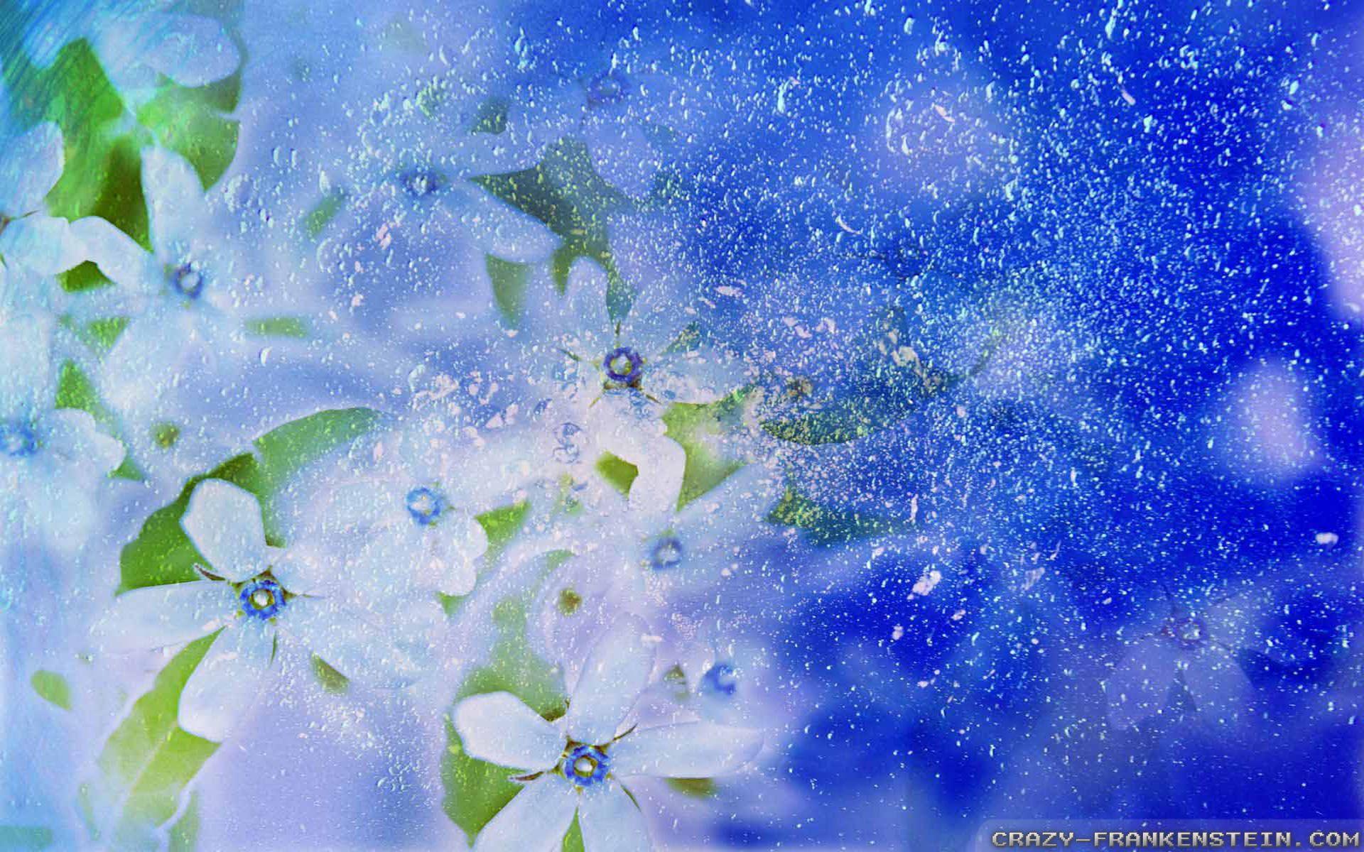 1920x1200 Flowers That Bloom in Winter Wallpaper .
