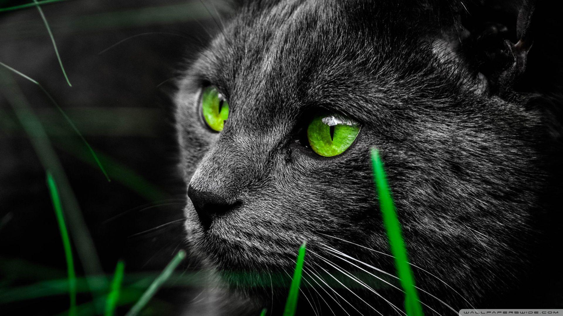 1920x1080 Black And Green Wallpaper 1920x1080 .