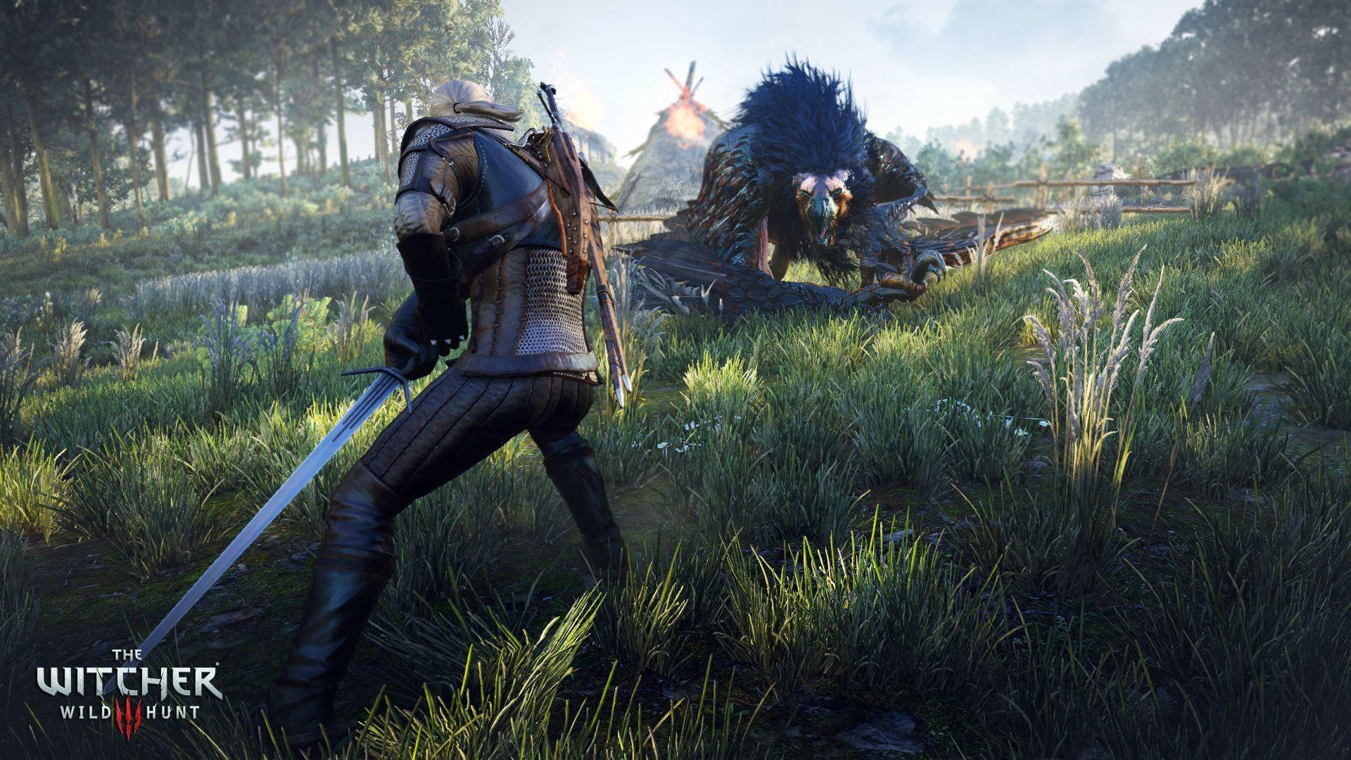 1920x1080 The Witcher 3 Wild Hunt Computer