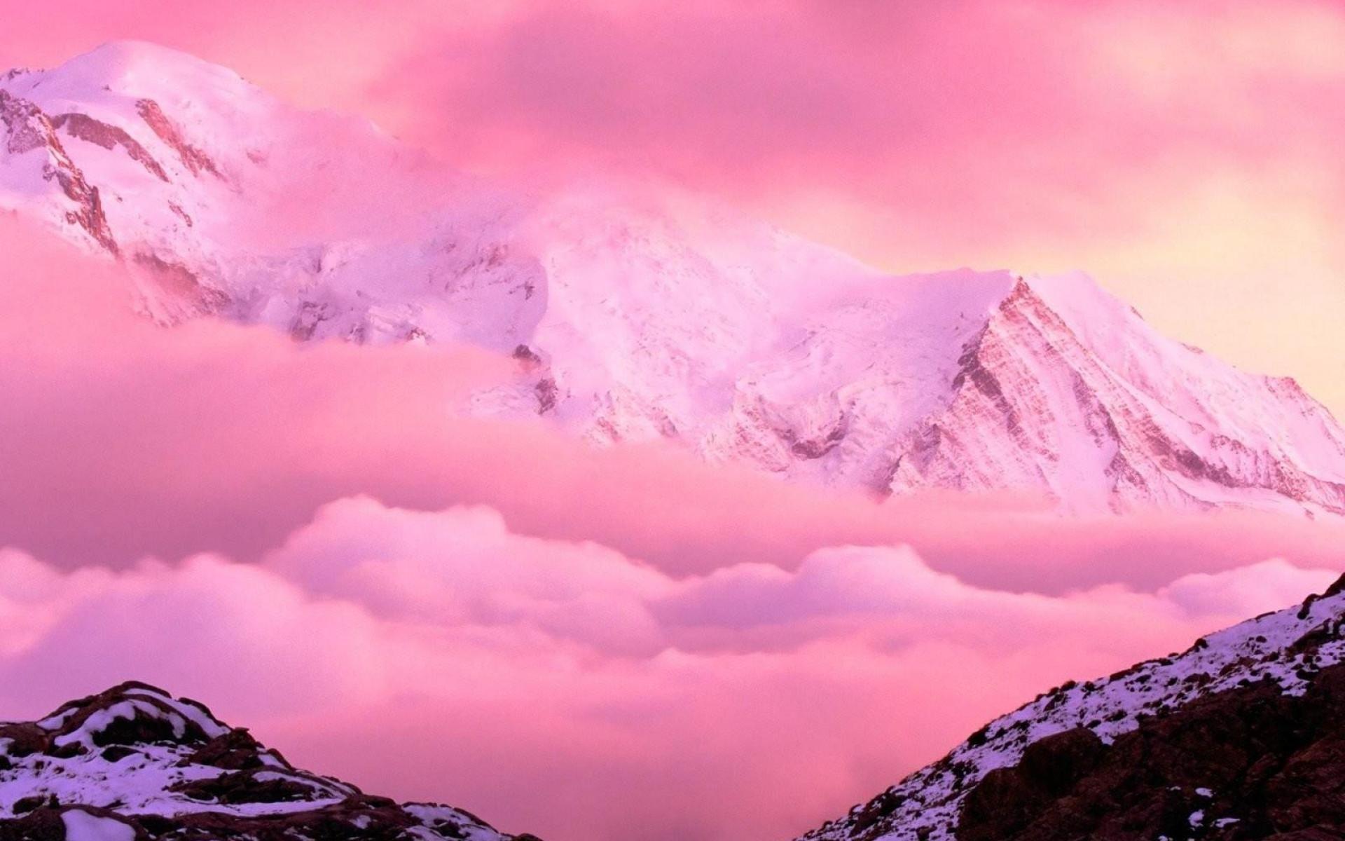 1920x1200 Pink Wallpaper High Definition High .