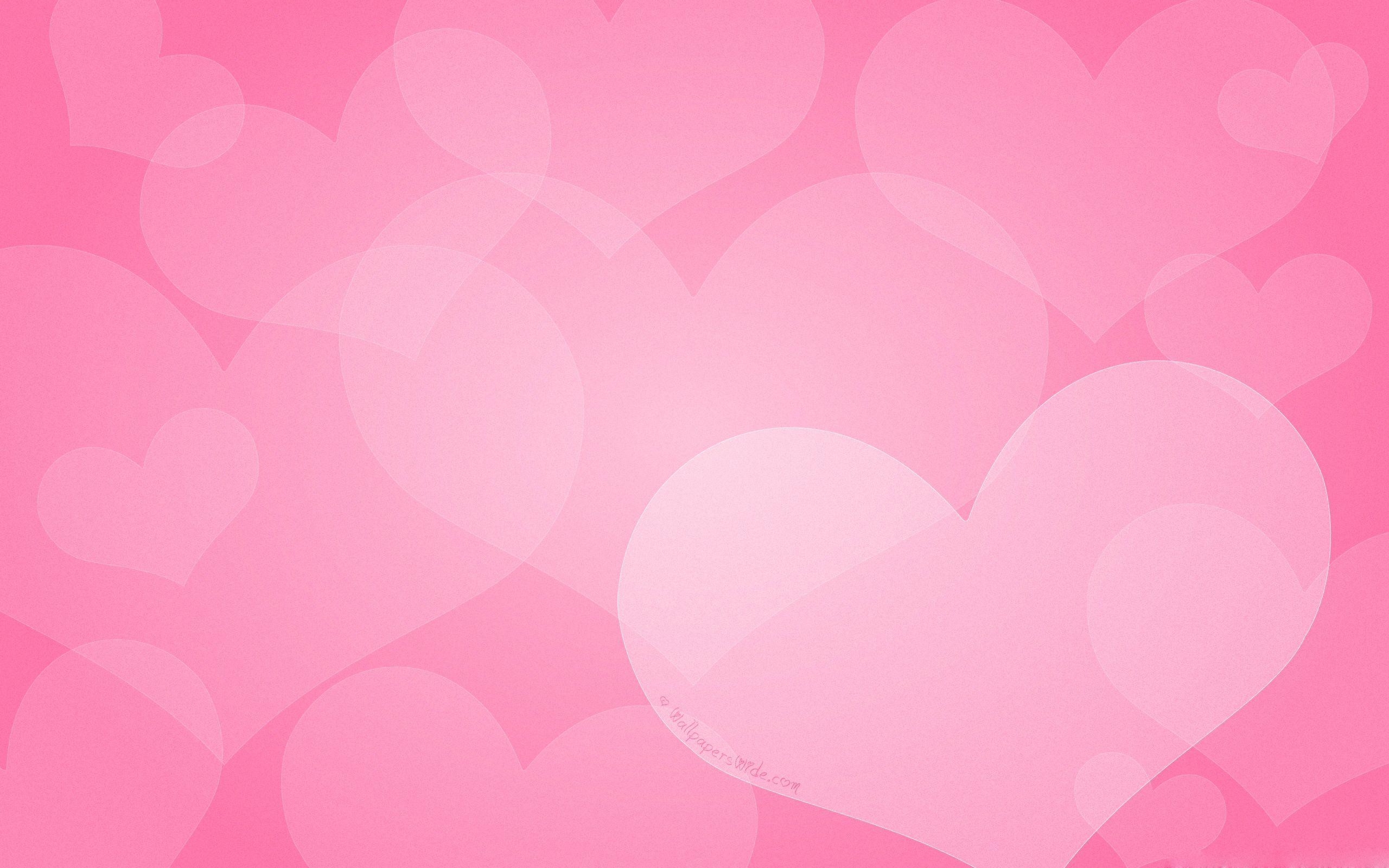 2560x1600 Day Wallpaper Disney Parks Blogwallpaperkuz.