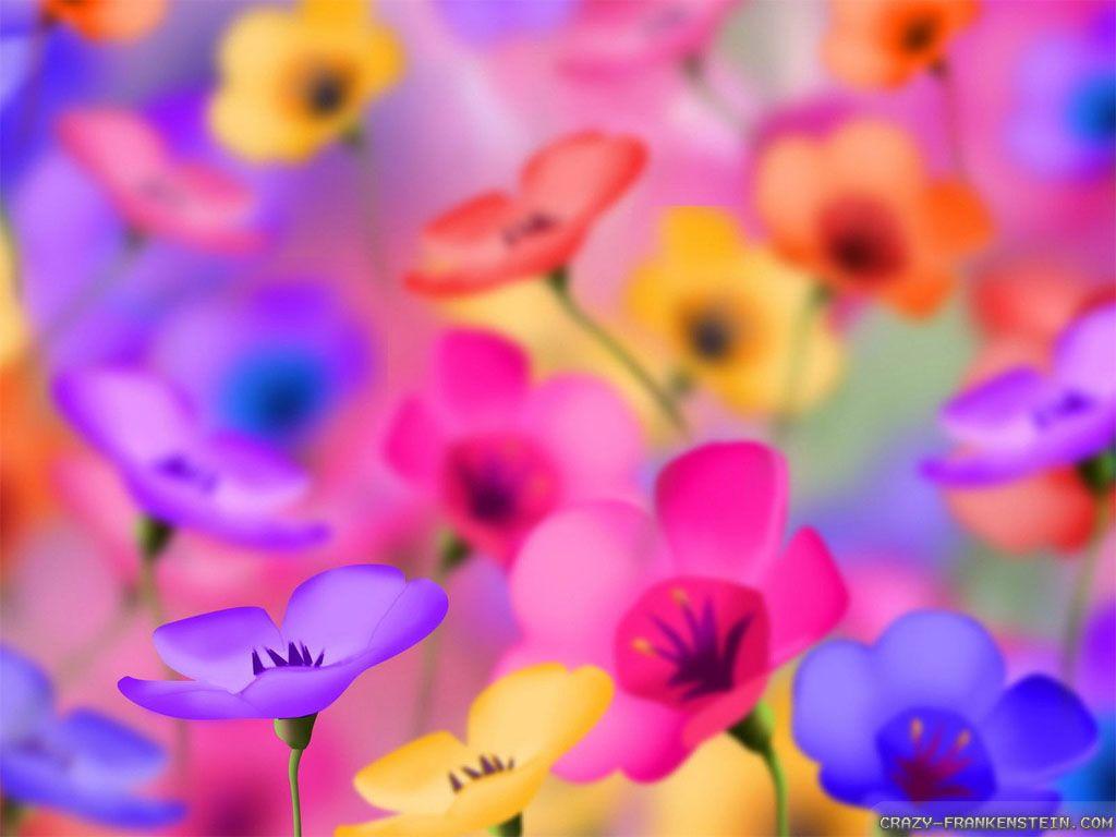 1024x768 Colorful Flowers Wallpaperbigupthepoe.
