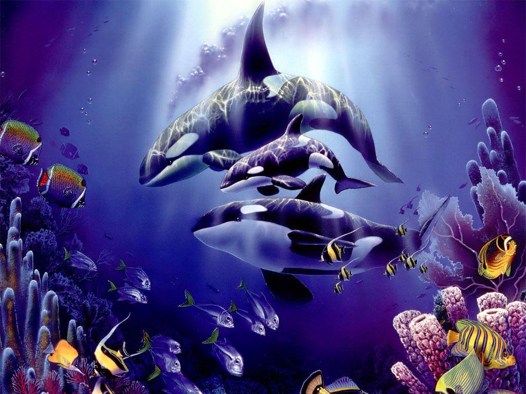 1024x768 Beautiful Whales Desktop Wallpaper .